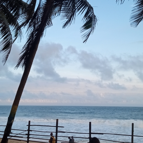 Meet your Posher, Sogona - Picture 1 of 1